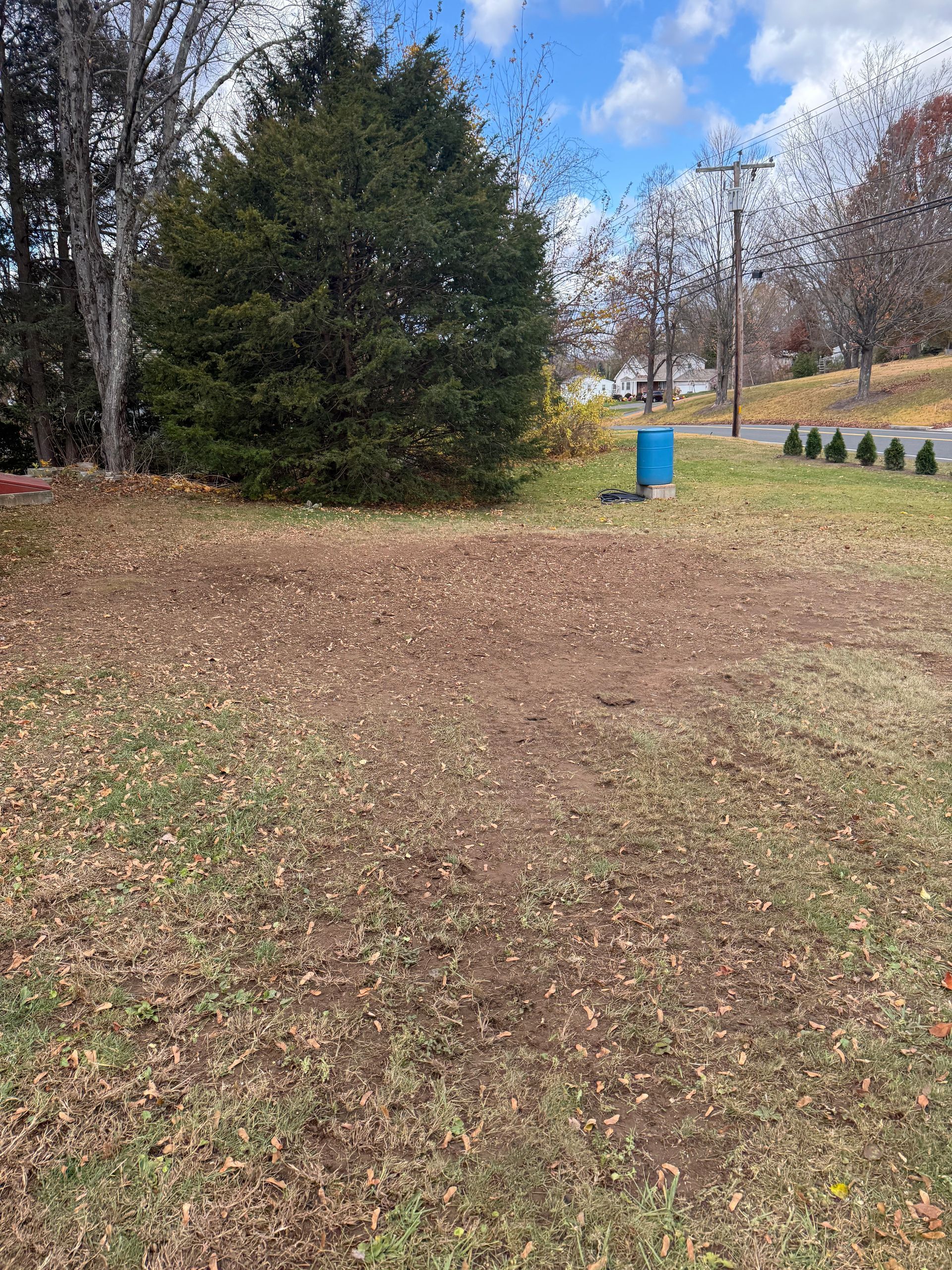 Yard with brown leaves, evergreen tree, blue utility box, and a road.