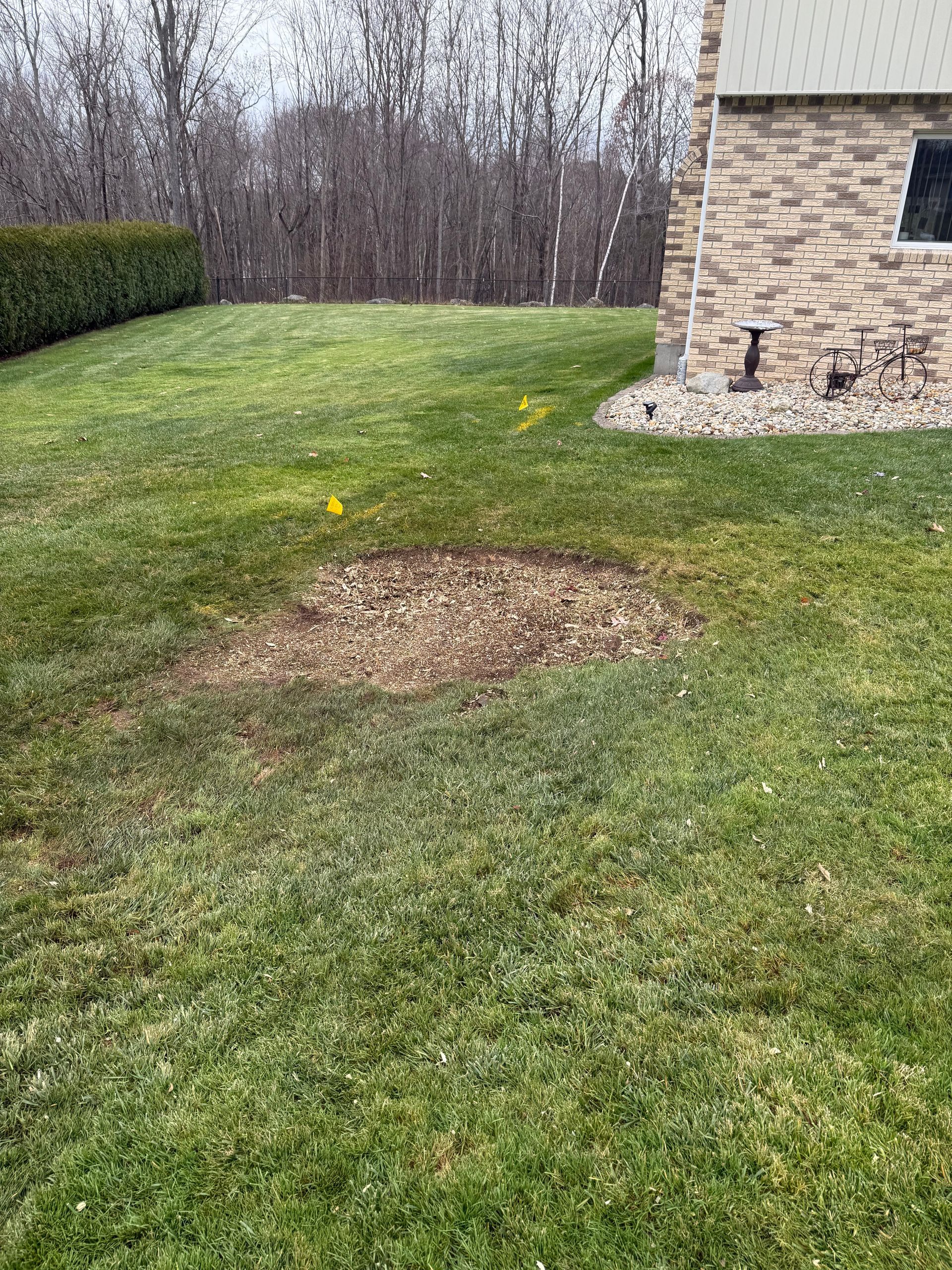 Lawn with a brown patch of mulch, next to a brick building. Green grass and trees in the background.