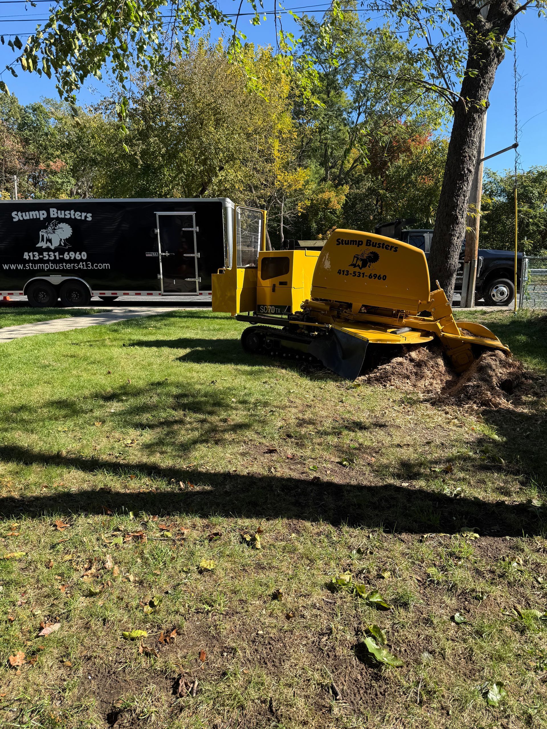 Yellow stump grinder grinding a tree stump in a yard, black trailer in the background.