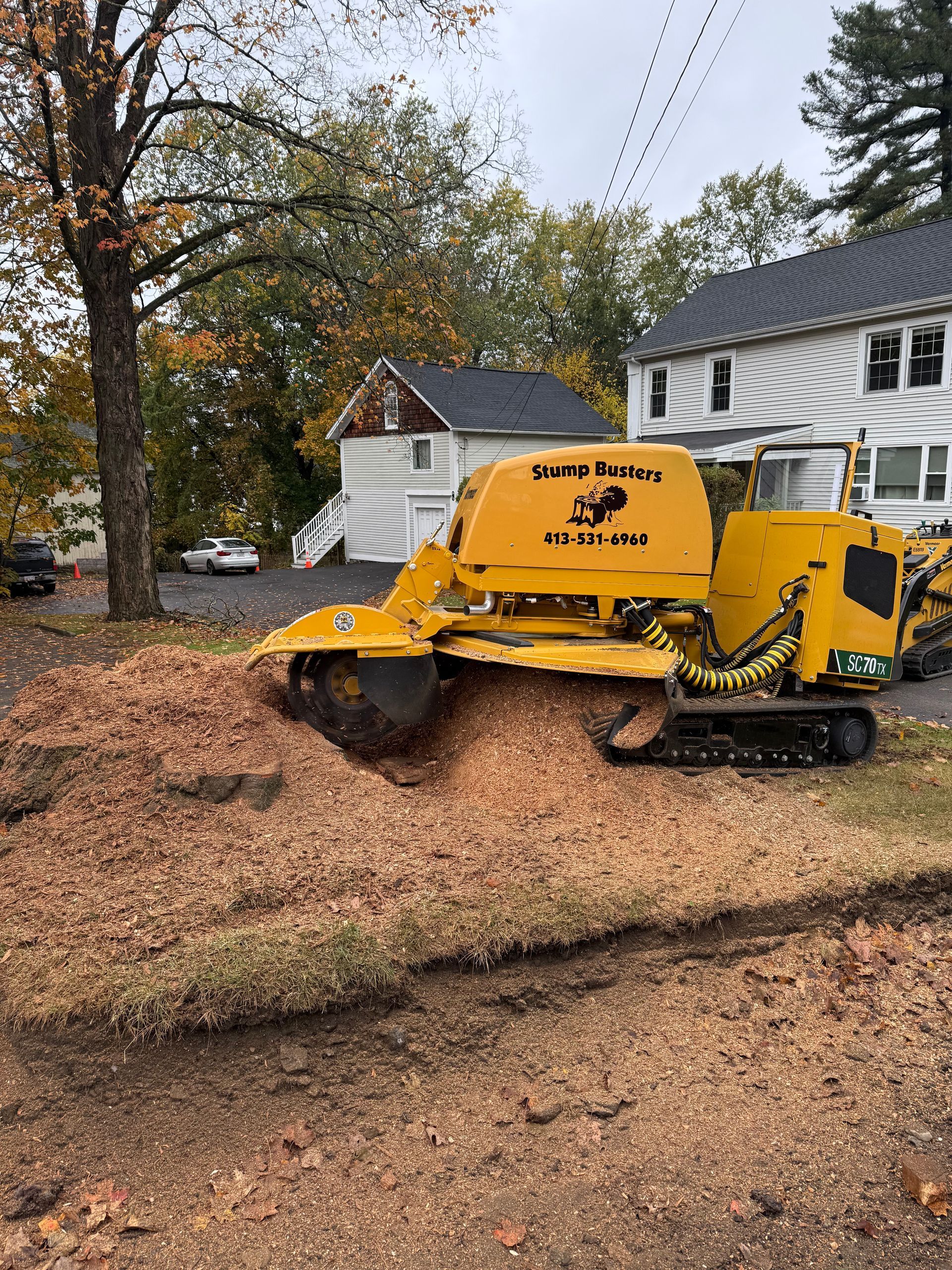 Yellow stump grinder in action, grinding wood chips. Residential setting, autumn colors.