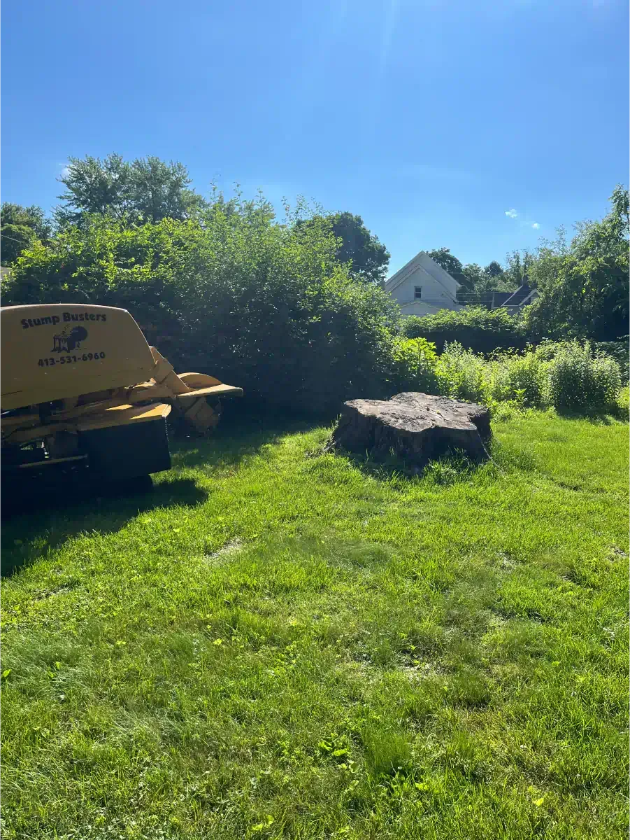 A stump grinder and freshly ground stump in a grassy yard, with a home visible in the background on a sunny day.