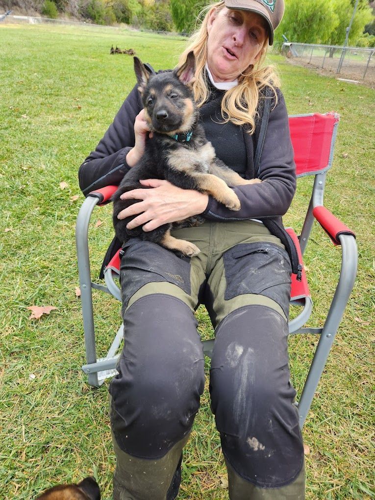 Woman in hat sits, holding a puppy, outdoors. Black, tan, and green clothing. Grassy area.