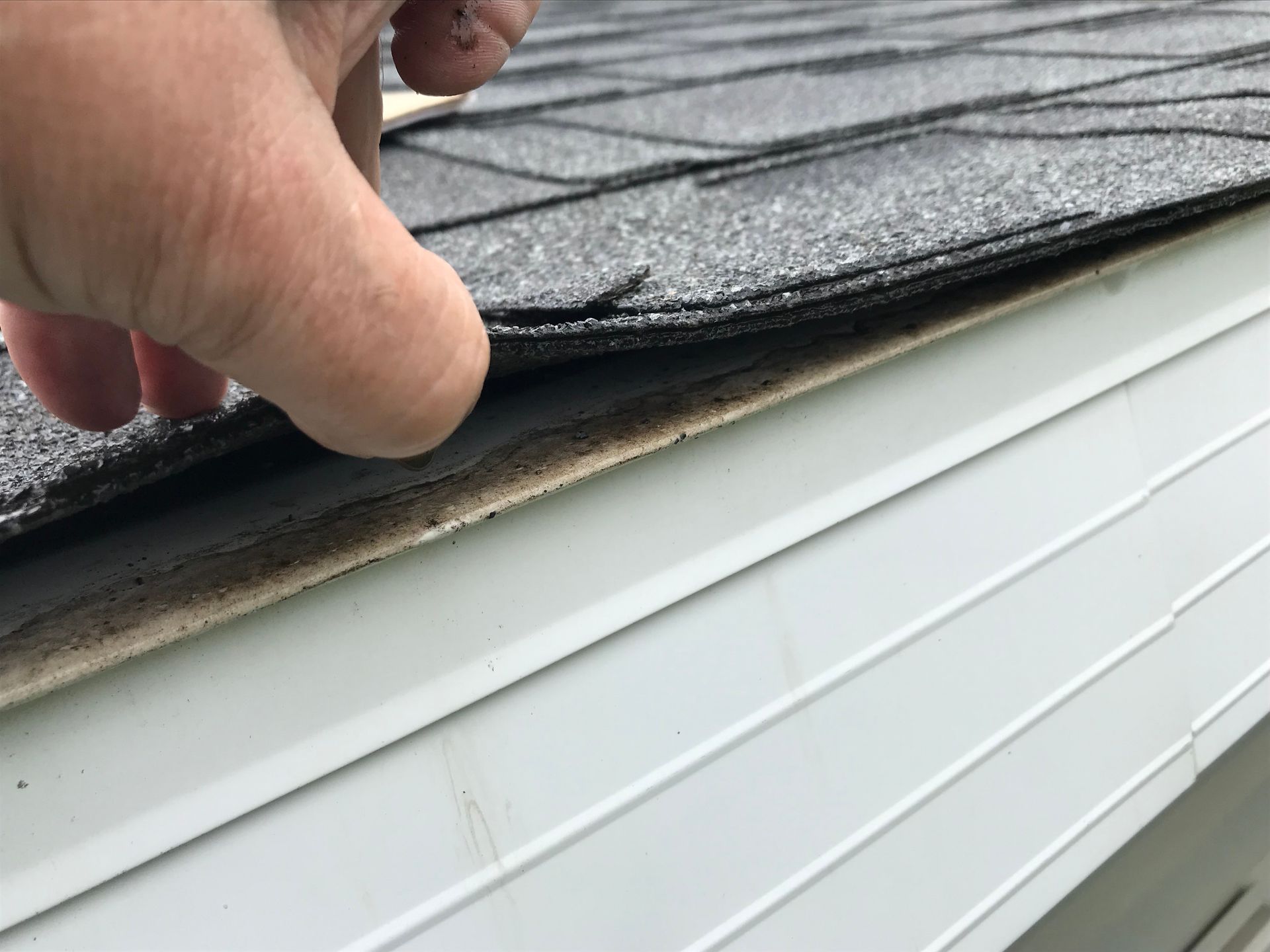 A close-up of a hand lifting the edge of gray asphalt roofing shingles, showing the layer of black underlayment and decking.