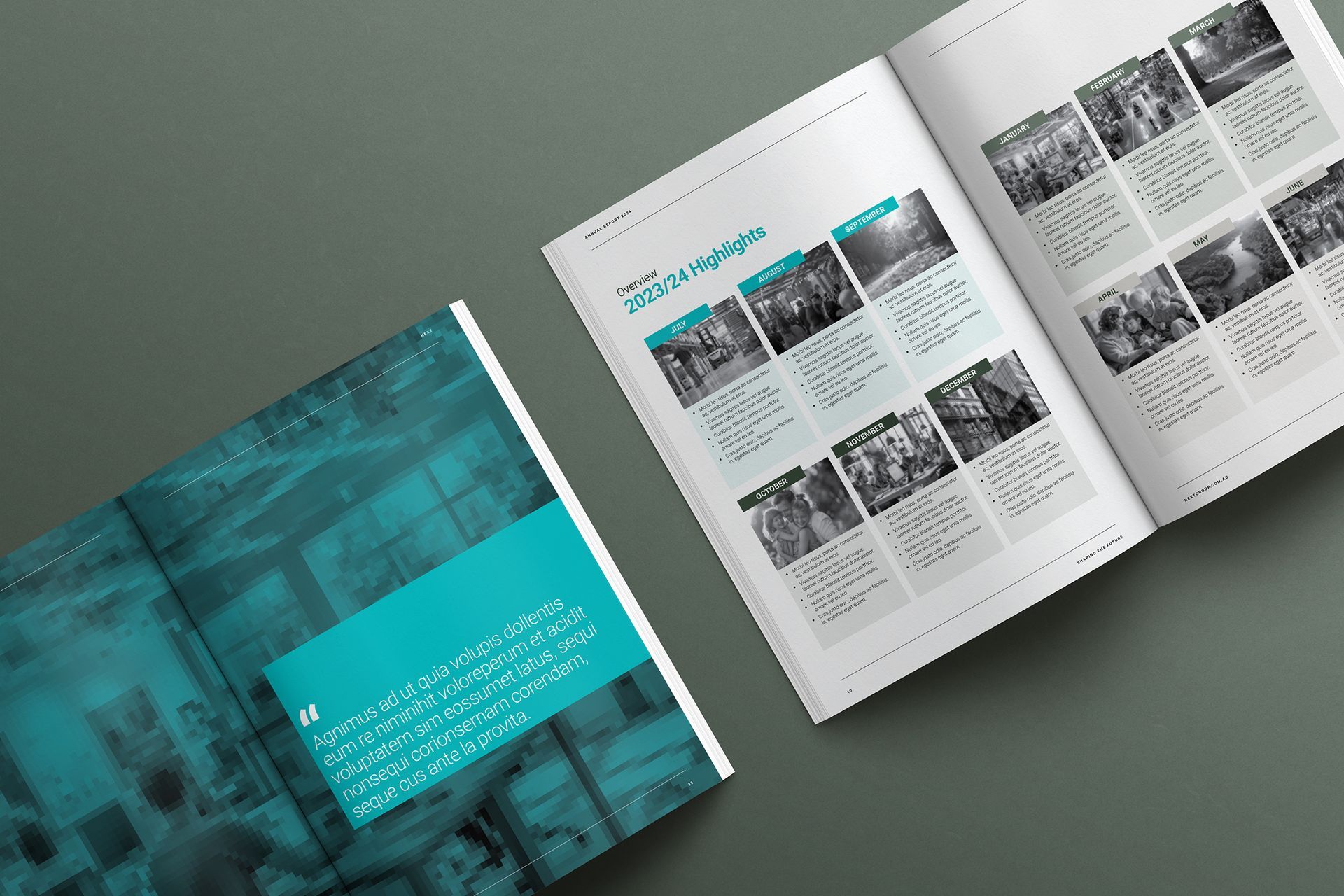 NEXT Annual Report Template Spreads