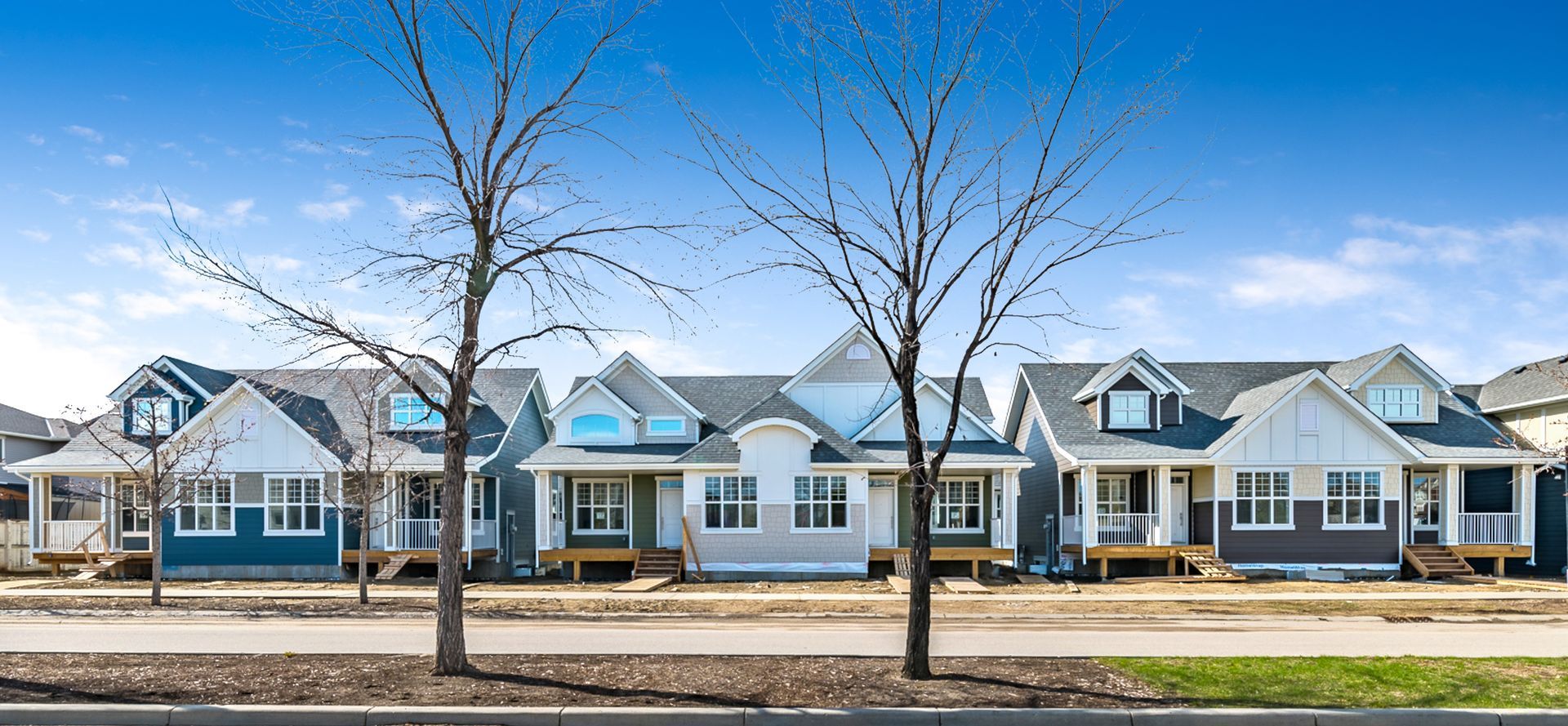 Row of modern houses with blue and gray siding, bare trees in front, sunny sky.