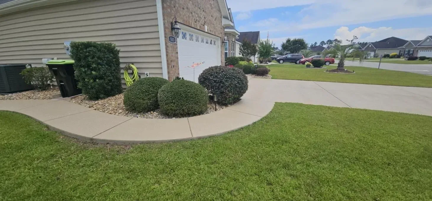 Lush green lawn and shrubs border a concrete driveway in front of a house with a garage.