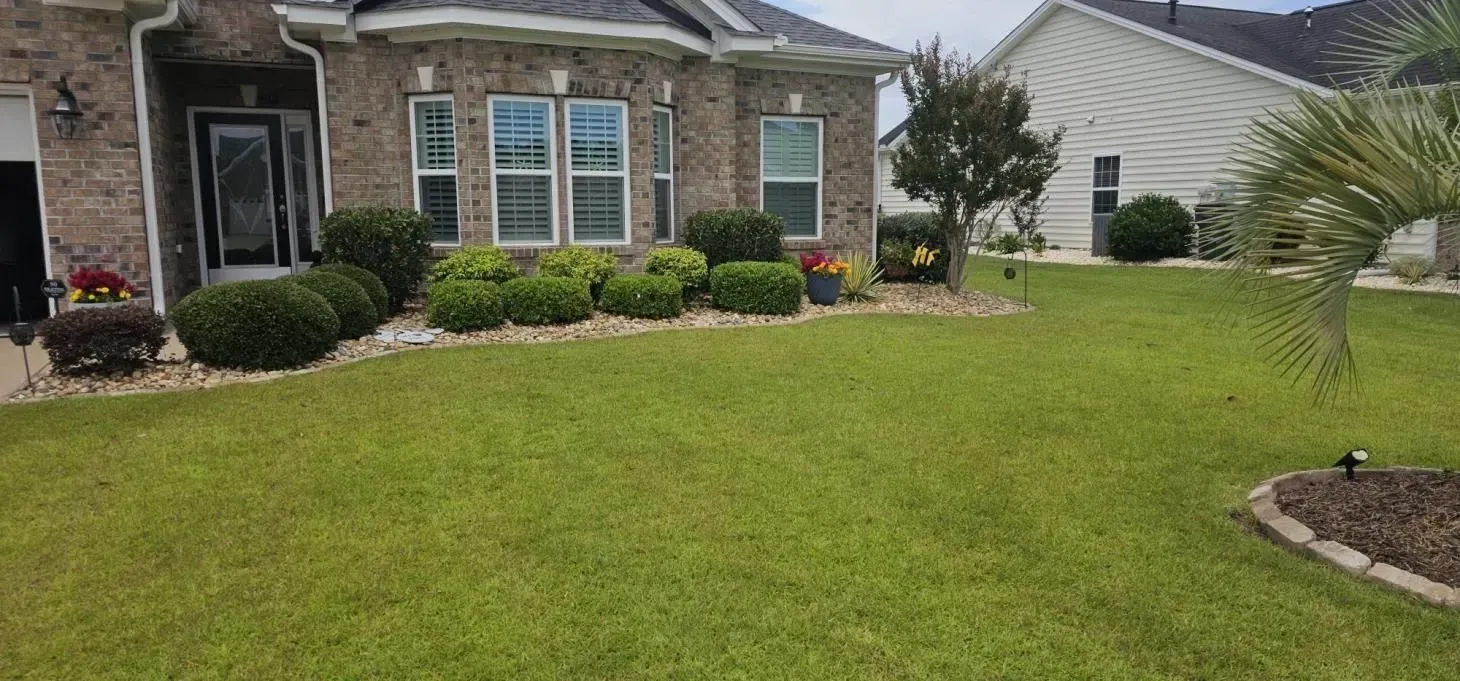 Green lawn in front of a brick house with trimmed bushes and a small palm tree.