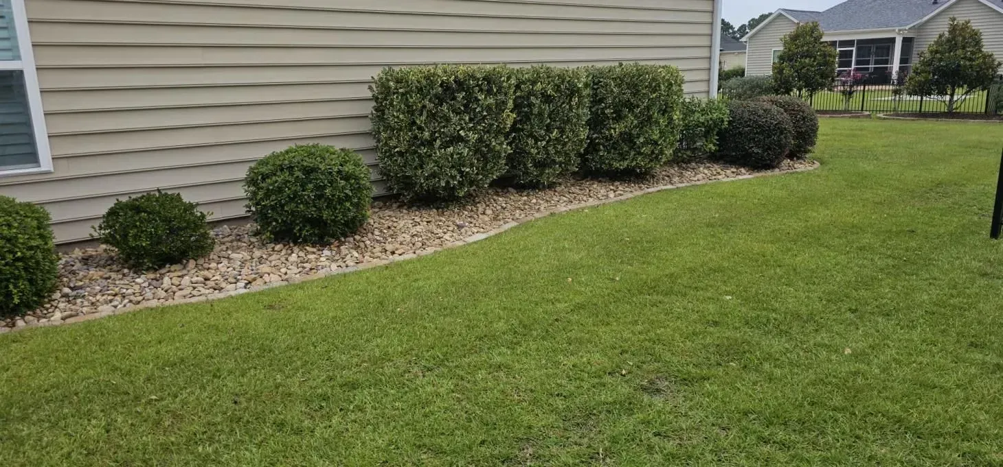 Green lawn with shrubbery border, tan siding on a house, and neighboring houses in the background.
