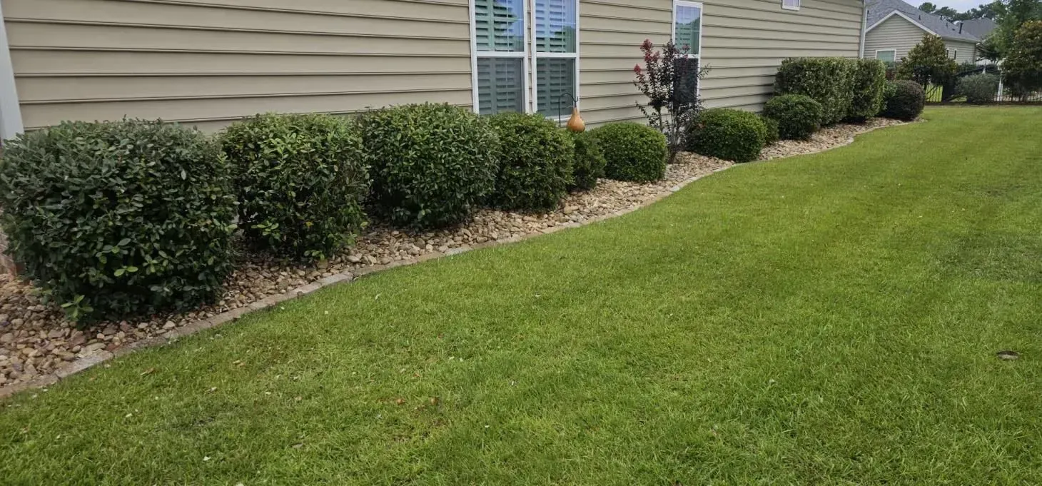 Green lawn with trimmed bushes along a house, gravel border.