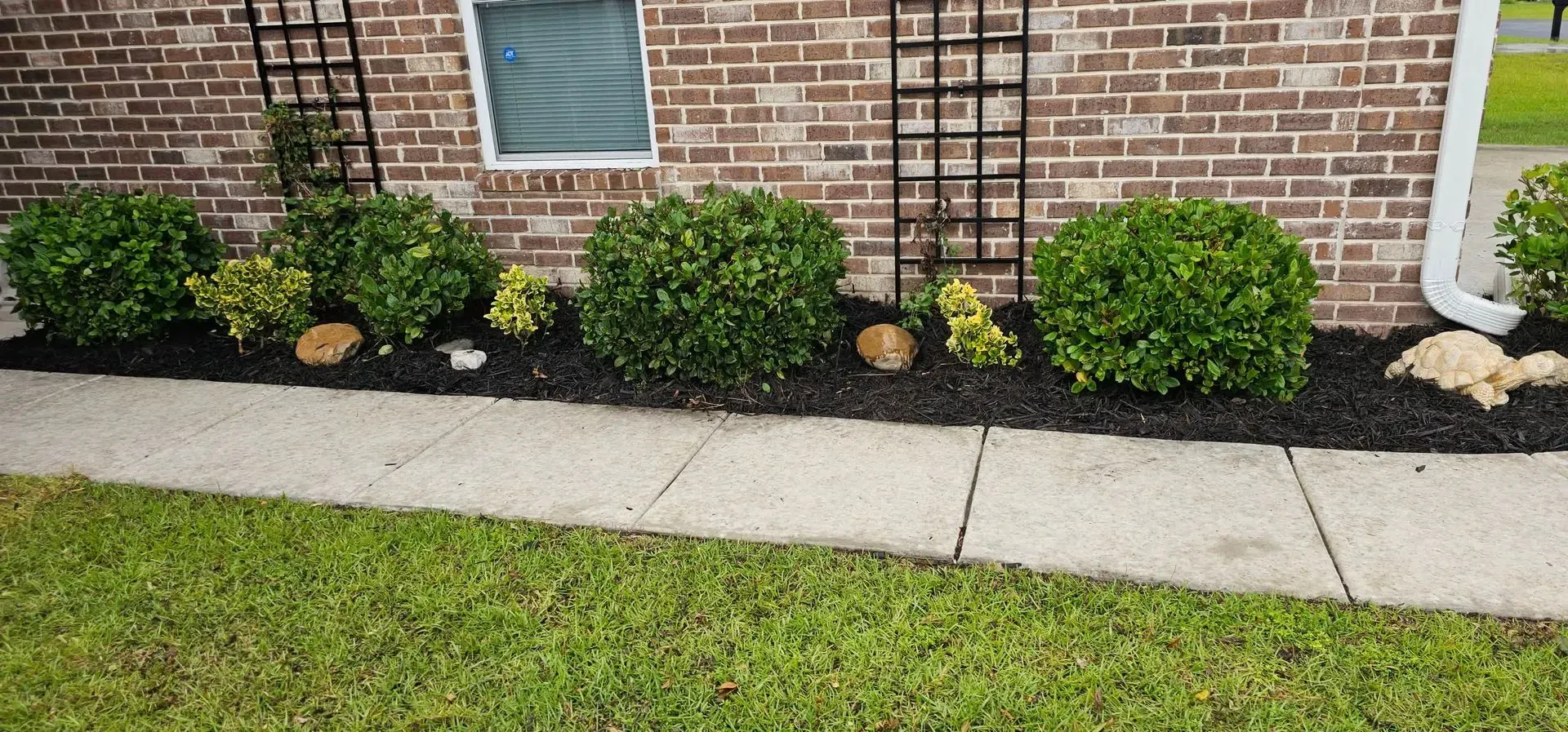 Brick building with a concrete sidewalk, black mulch, green bushes, and green grass.