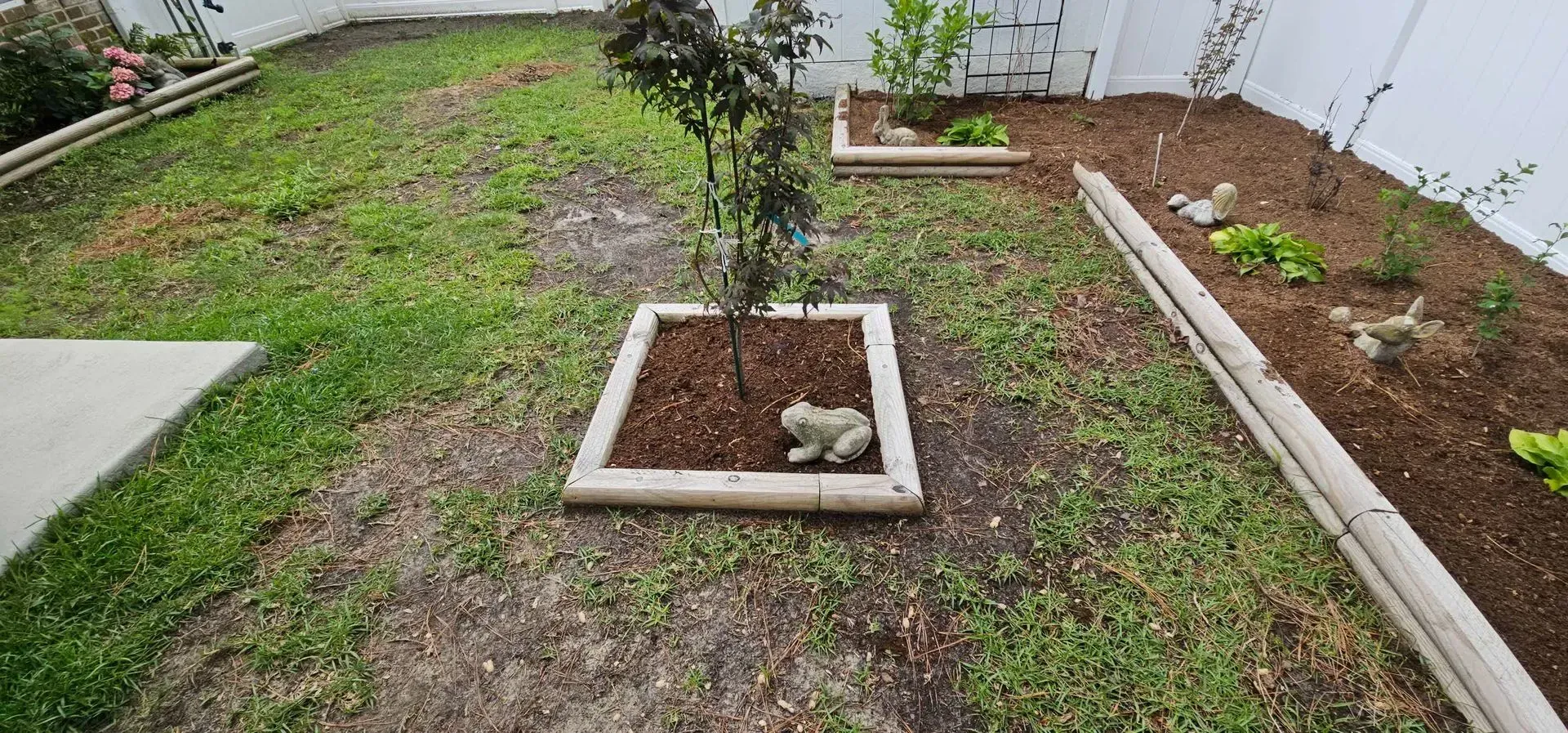 A backyard with a tree in a wooden square and raised garden beds filled with soil.