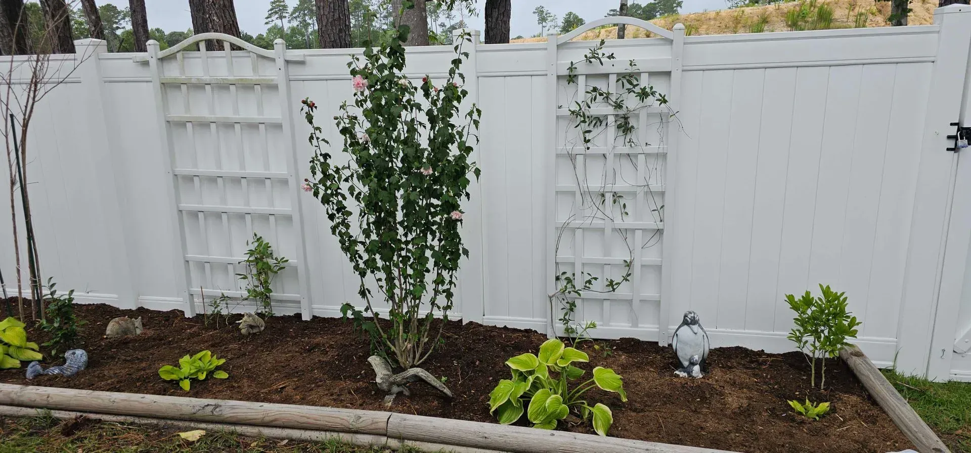 A white fence with climbing vines and various plants in a garden bed.