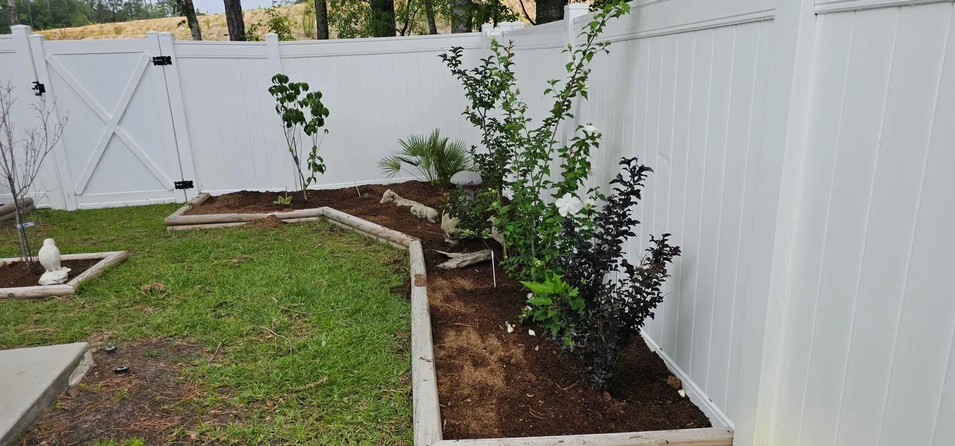 A white fence encloses a backyard garden with mulch, plants, and a gate on the left.