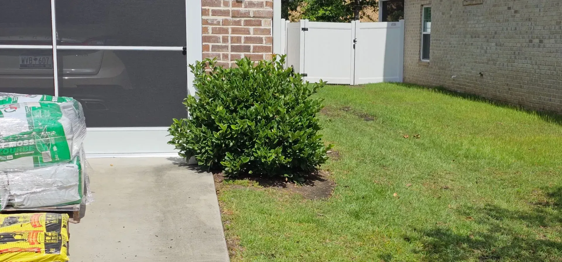 A small green bush next to a concrete pathway and green lawn near a white fence and brick building.