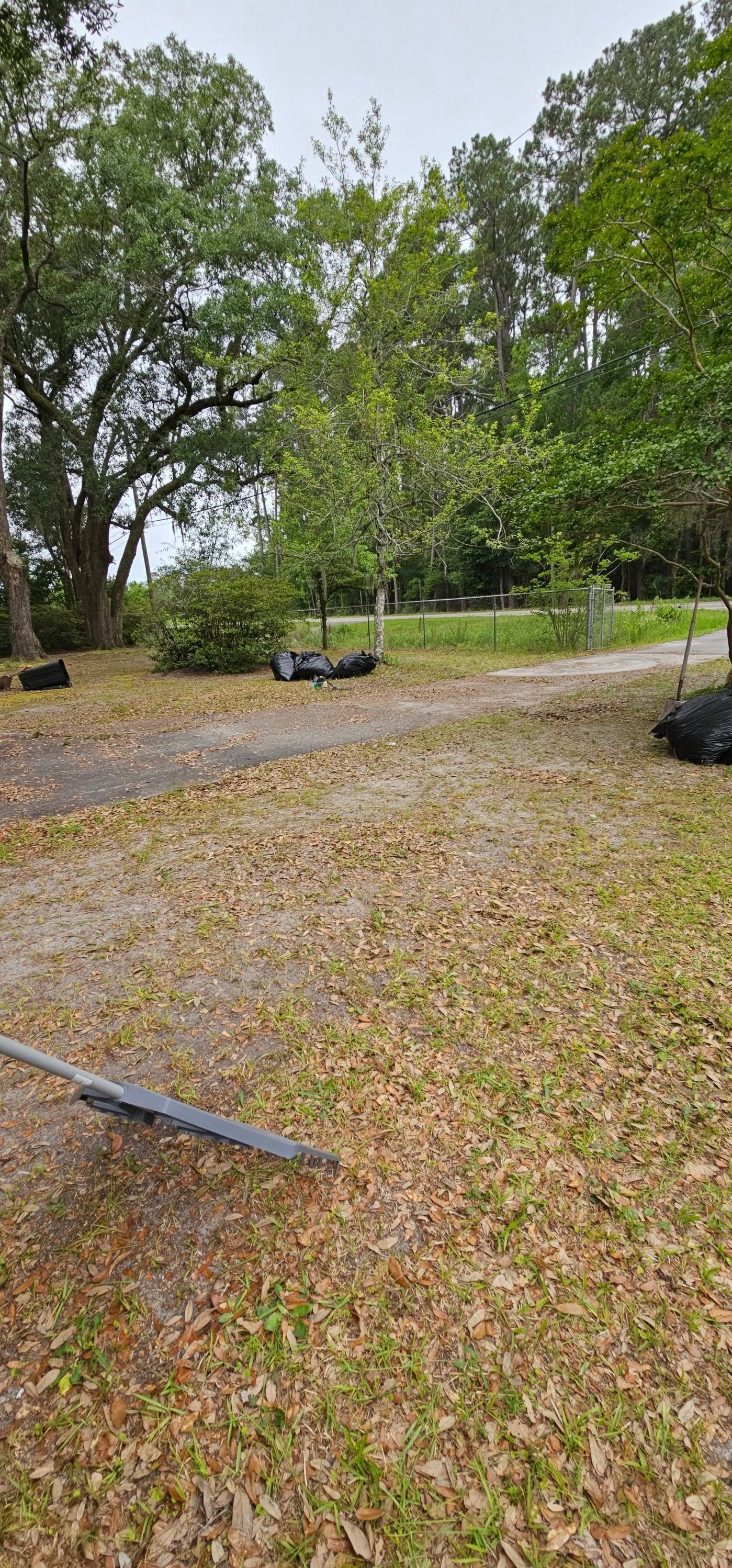 Raked leaves cover a grassy area near trees and a gravel path.