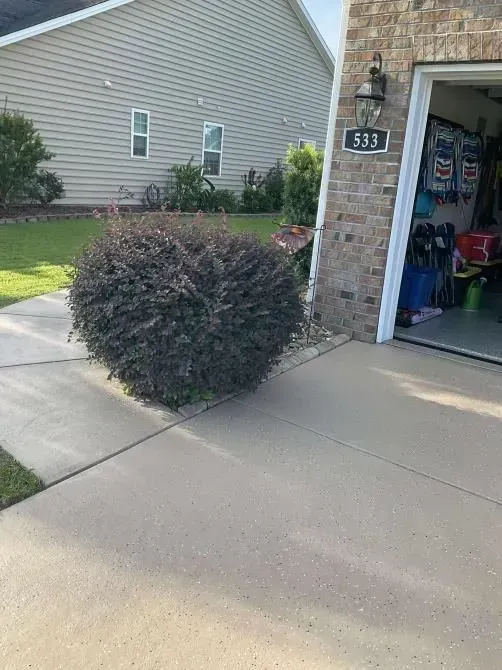 A rounded dark red bush sits on concrete driveway beside a garage door with house number