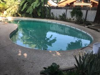 A large oval shaped swimming pool with a fence in the background