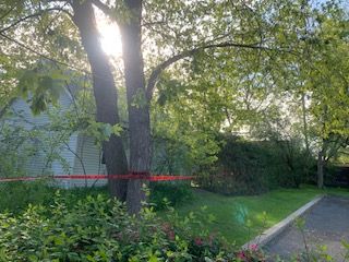 Le soleil brille à travers les arbres devant une maison.