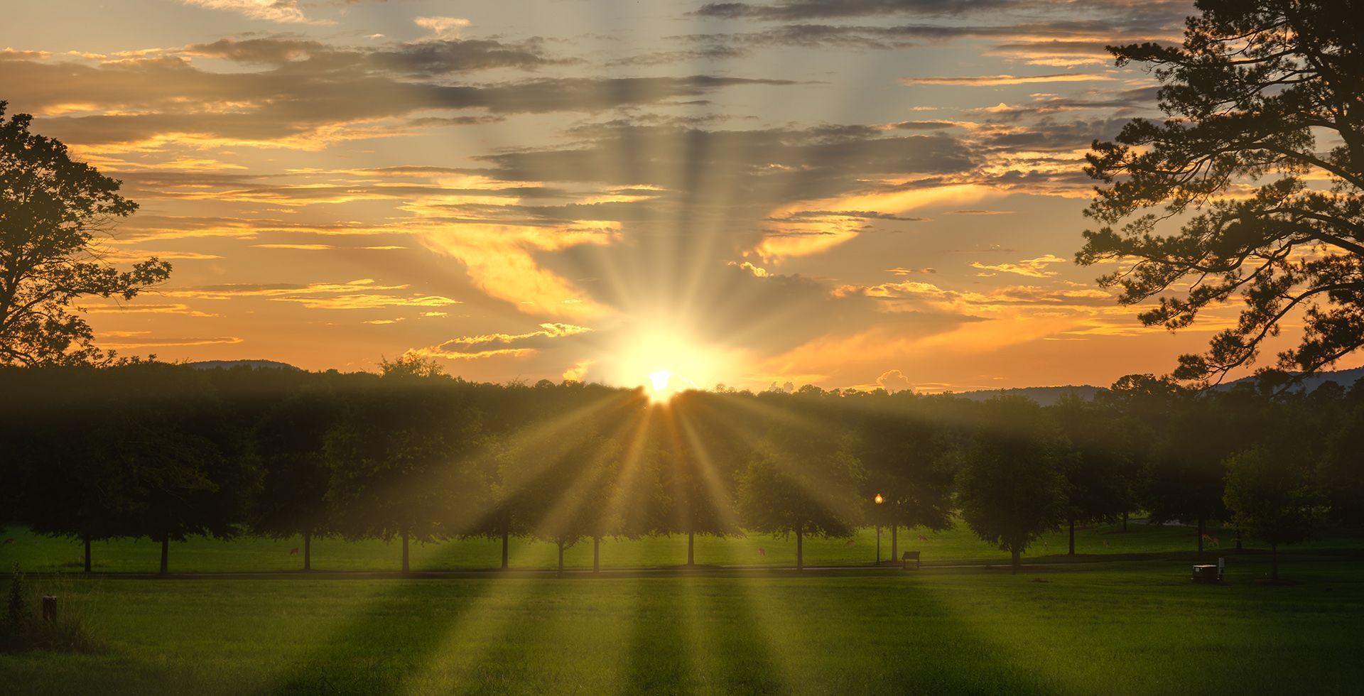 the sun is setting over a field with trees in the foreground .