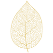 Releaf Massage Therapy - Gold Leaf