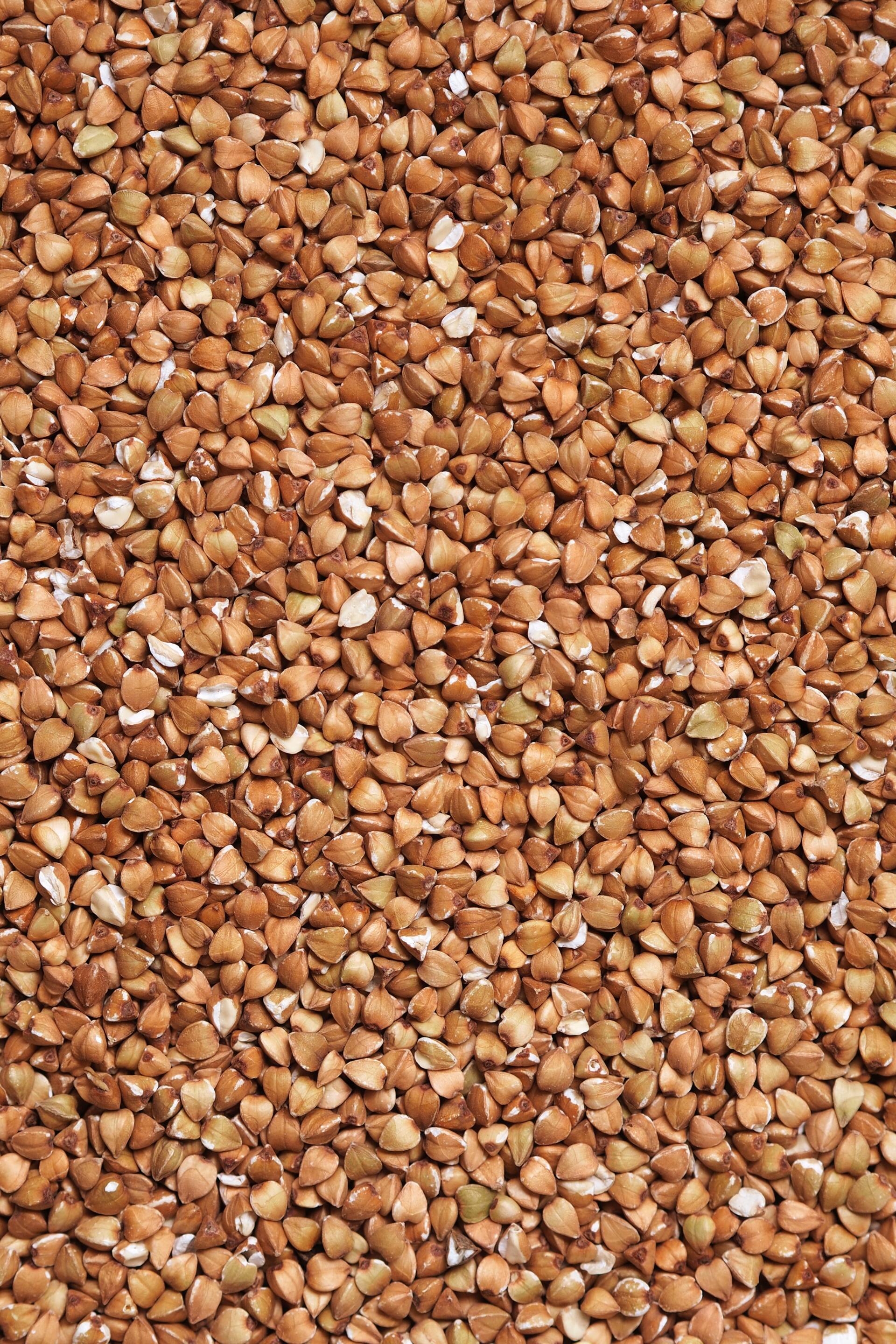 Buckwheat