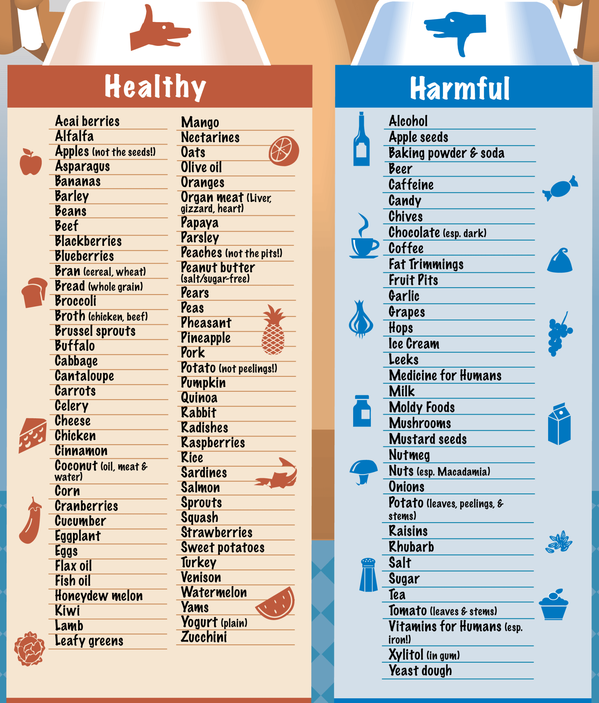 Foods that are healthy and harmful to dogs