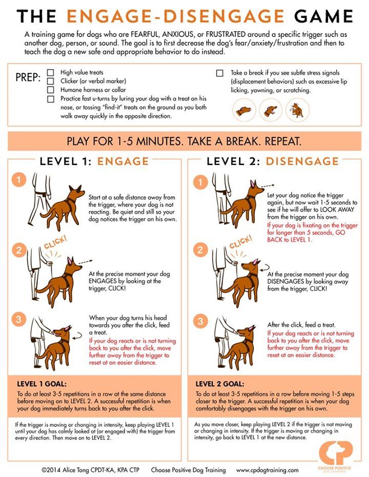The engage and disengage game for dogs
