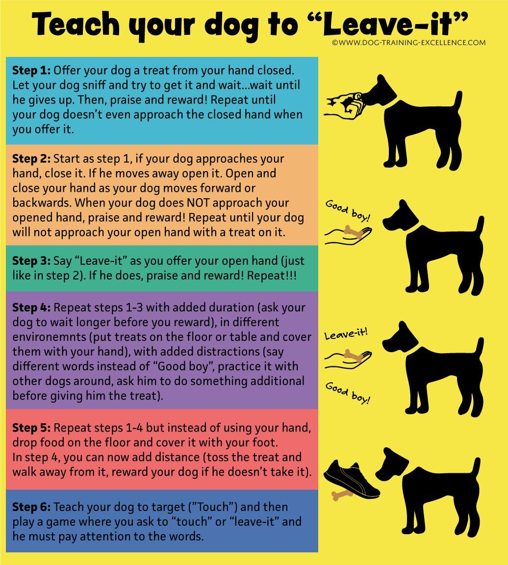 Teach your dog to leave it