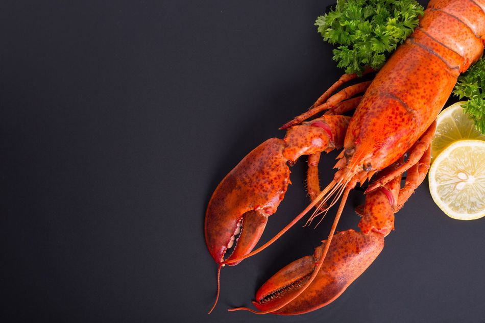 A lobster with lemon slices and parsley on a black background.