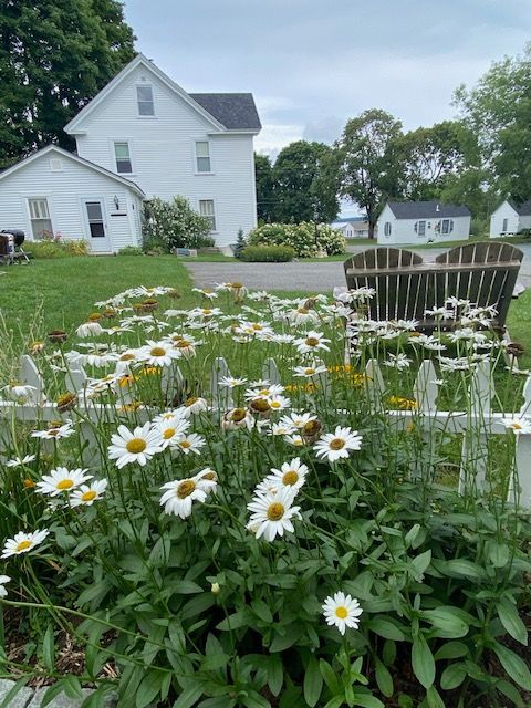 Flowers and a white farmhouse