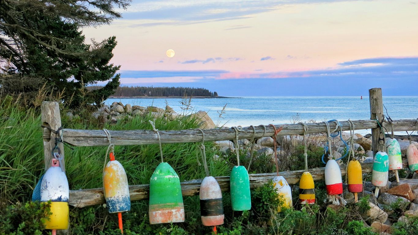 A row of buoys on a fence overlooking the ocean