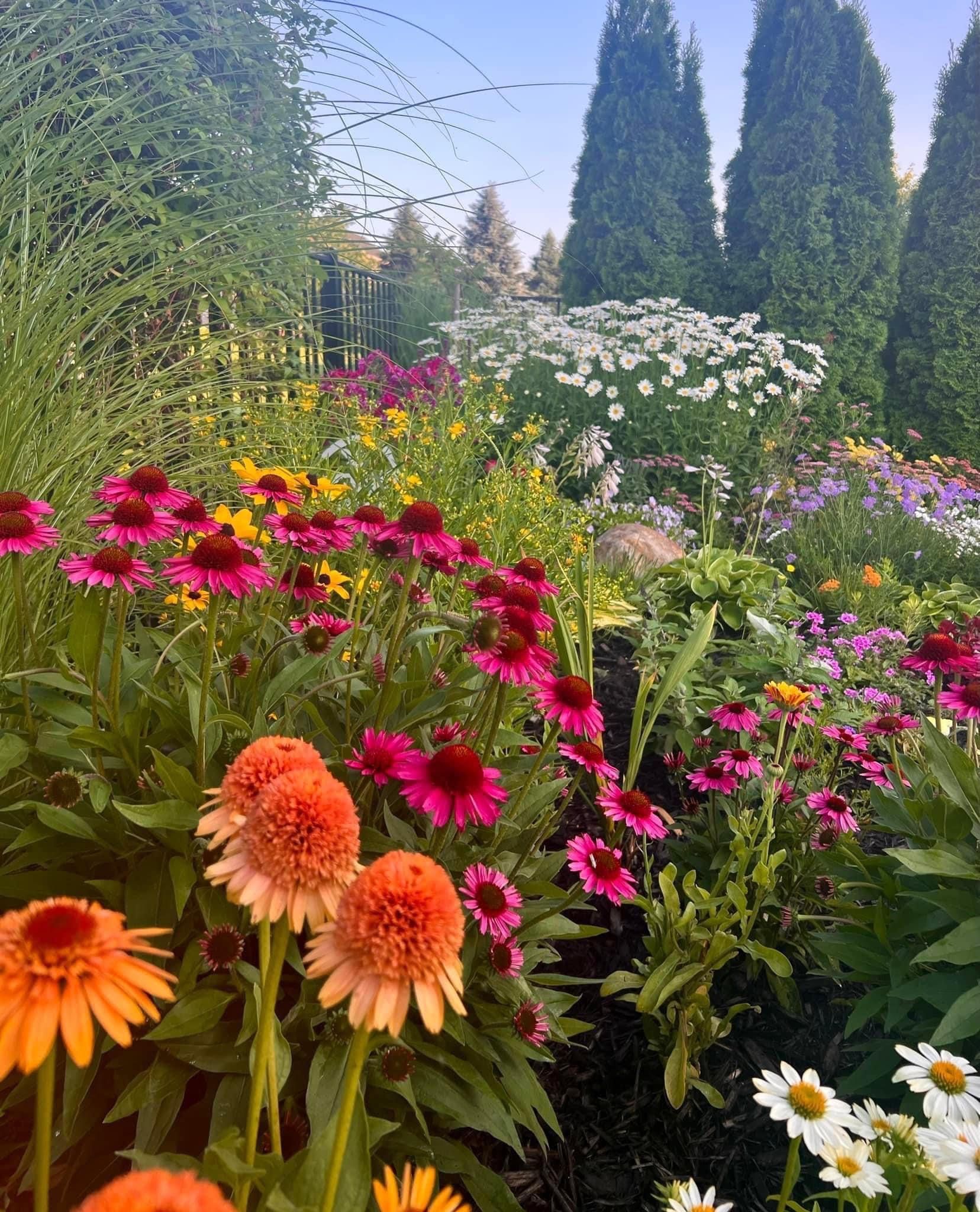 beauty of flowers and nature- humility and freedom from self-consciousness