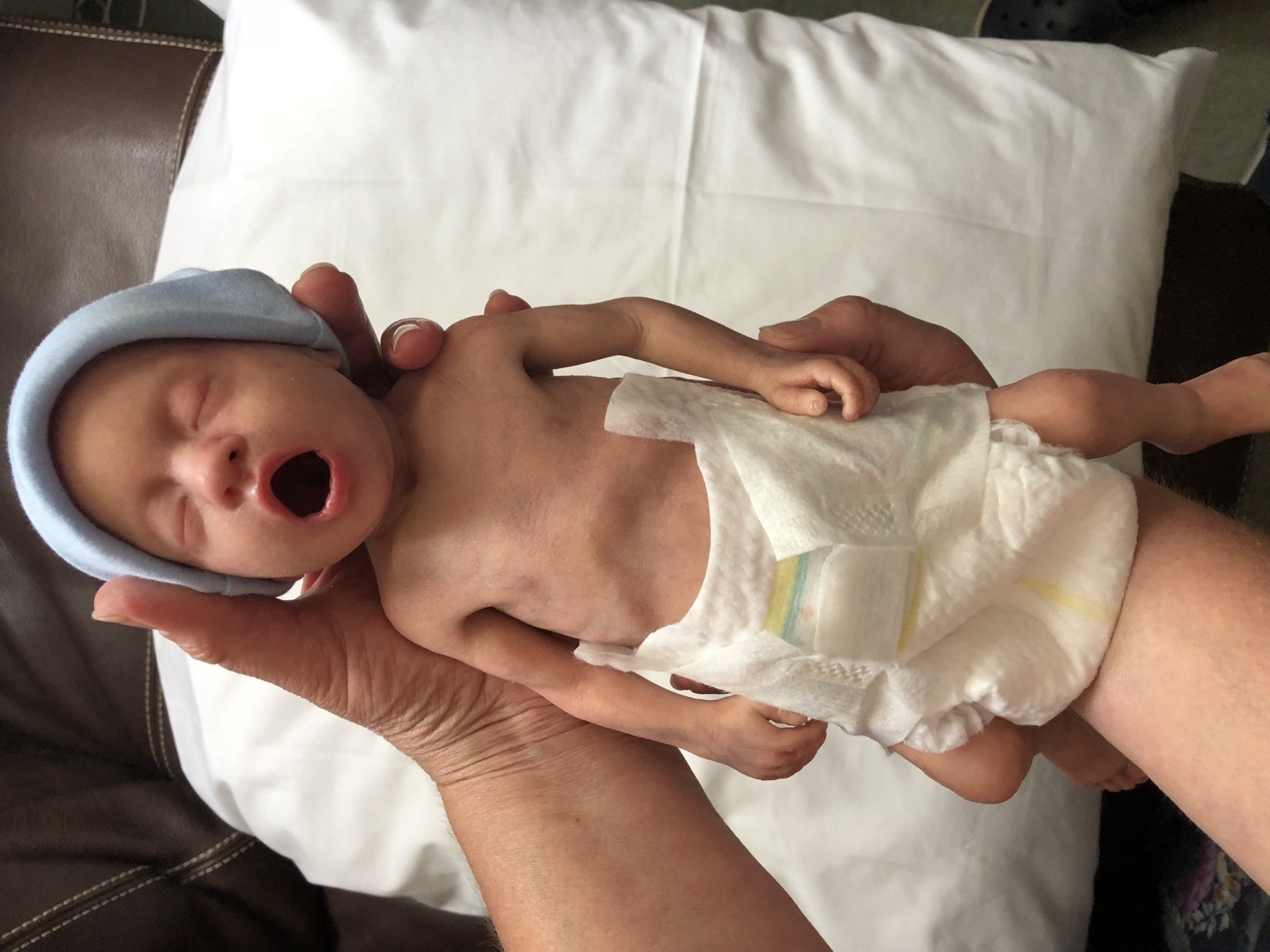 Lifecast Body Simulation The Worlds Most Realistic Teaching Tools