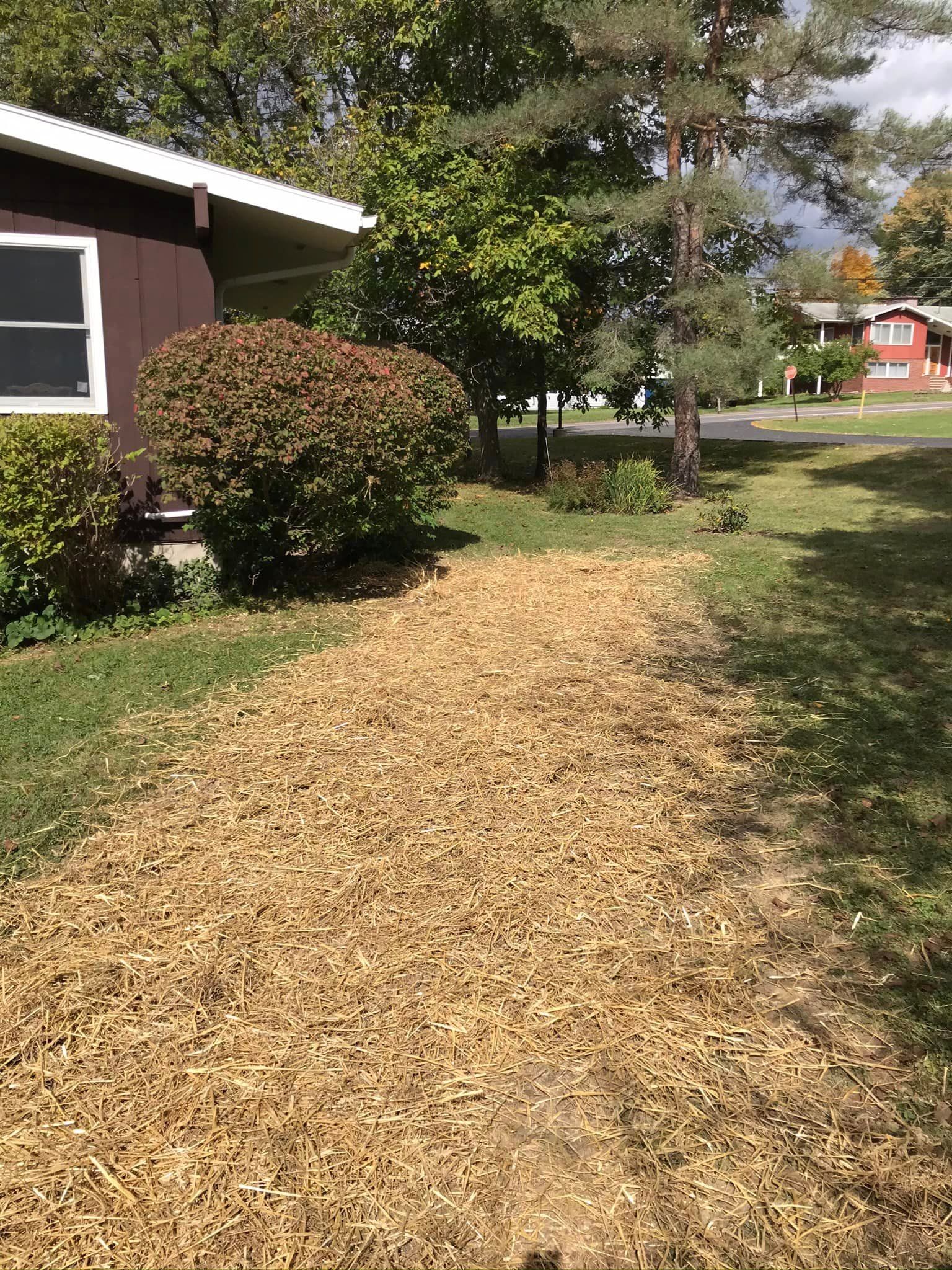 A dirt path leading to a house with a shed in the background.