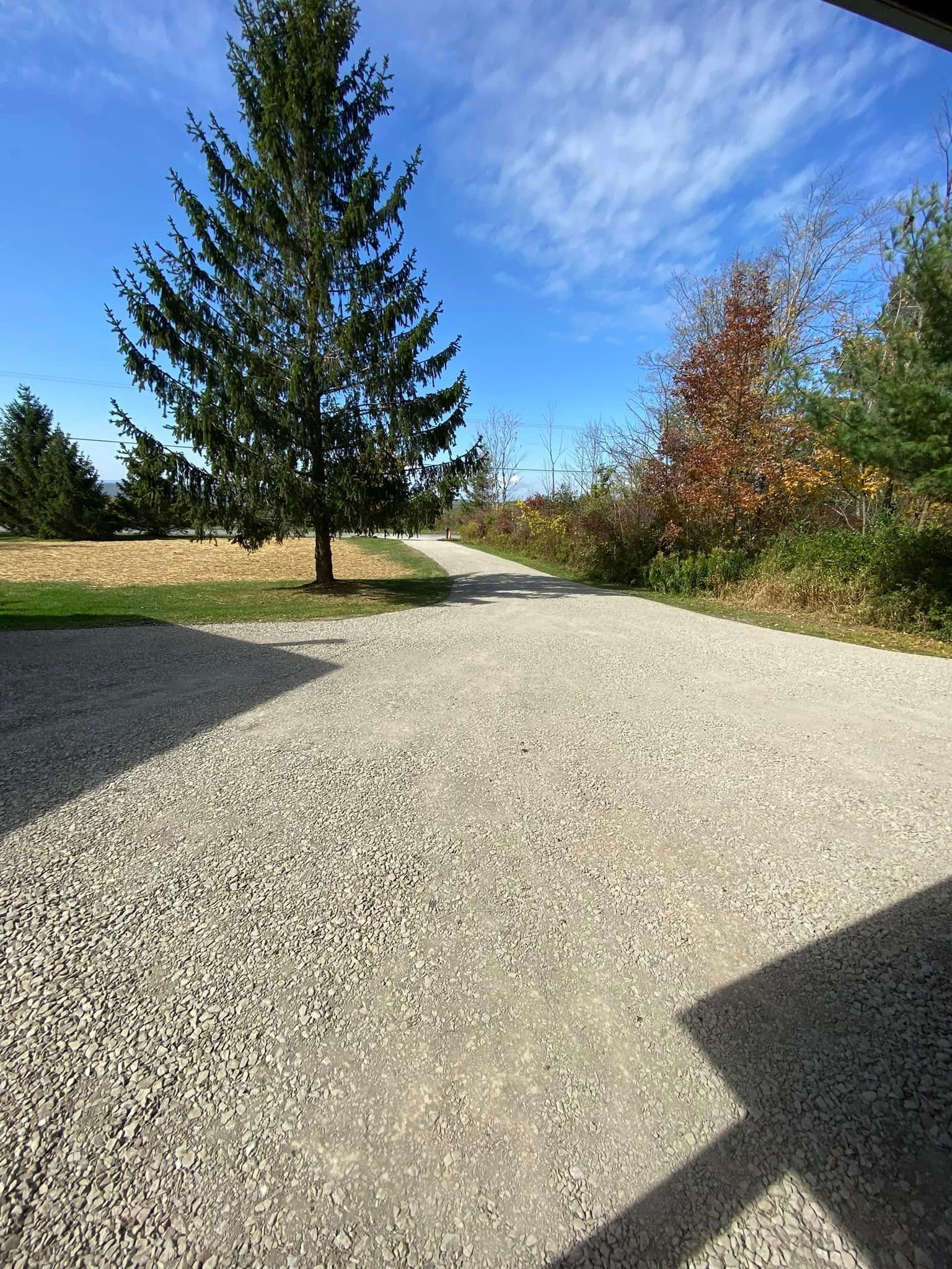 A gravel driveway with trees on both sides and a blue sky in the background.