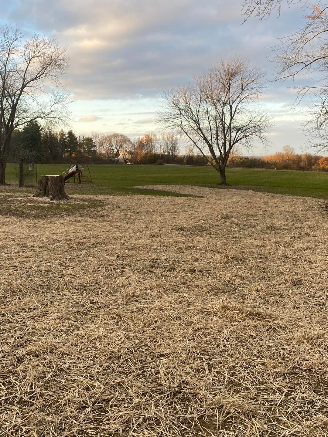 There is a stump in the middle of a field with trees in the background.