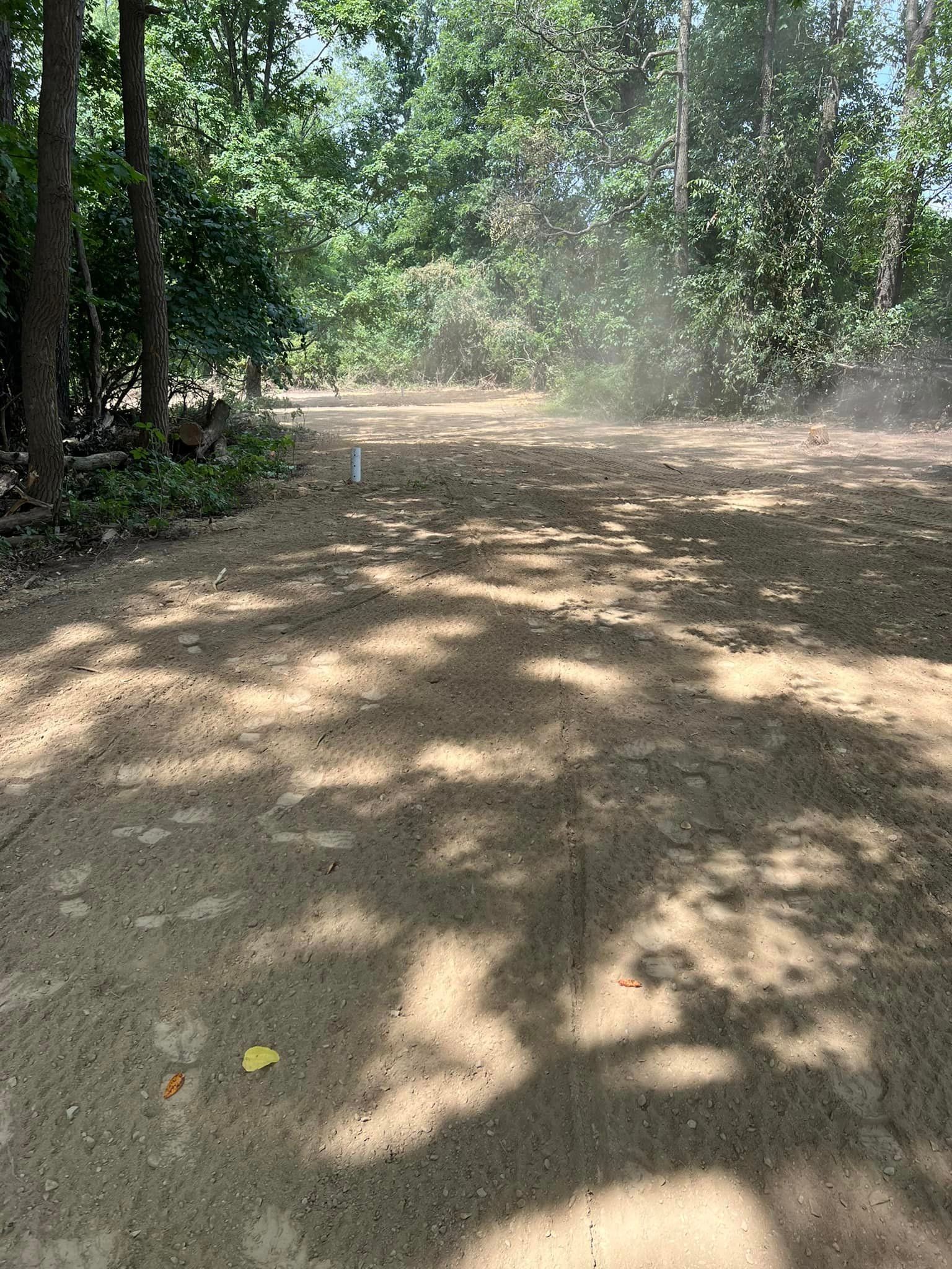 A dirt road in the middle of a forest with trees on both sides.