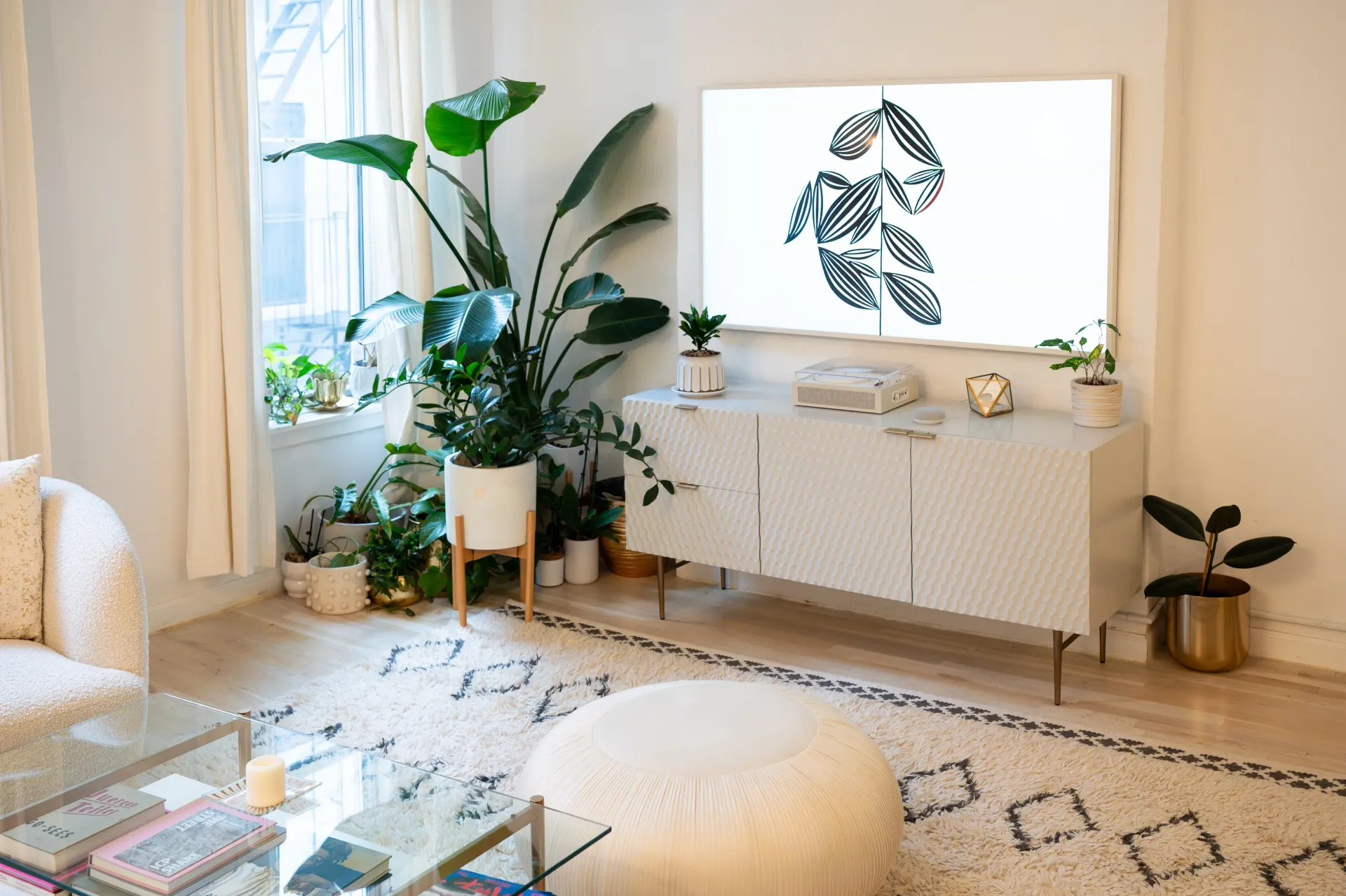 Living room with a large plant, a white cabinet, and a rug.
