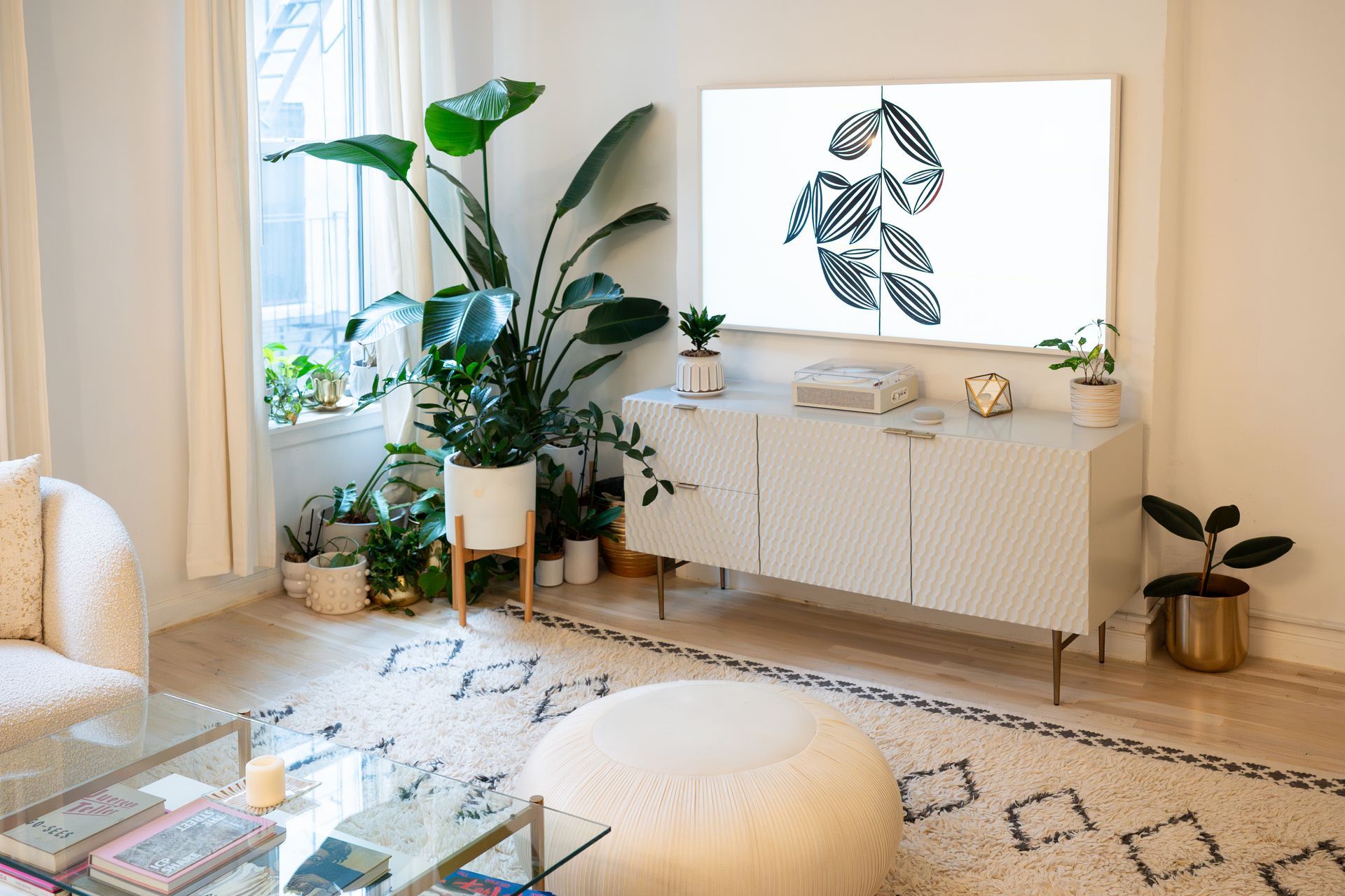 Living room with a large plant, a white cabinet, and a rug.