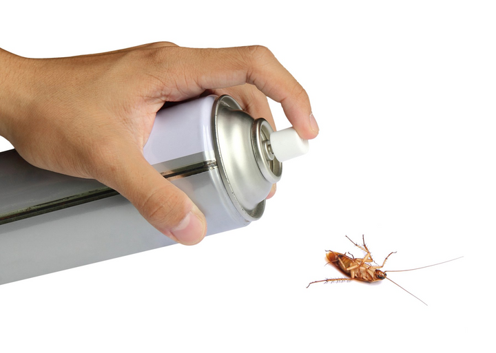 Spraying pesticide to a cockroach