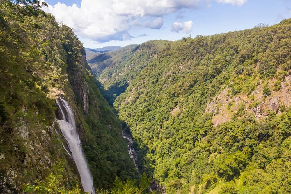 There Is A Waterfall In The Middle Of A Canyon Surrounded By Trees — ASpect Wall & Floor Tiling in Taree, NSW
