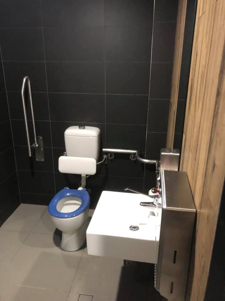 A Bathroom With a Toilet a Sink and a Hand Rail — ASpect Wall & Floor Tiling in Newcastle, NSW