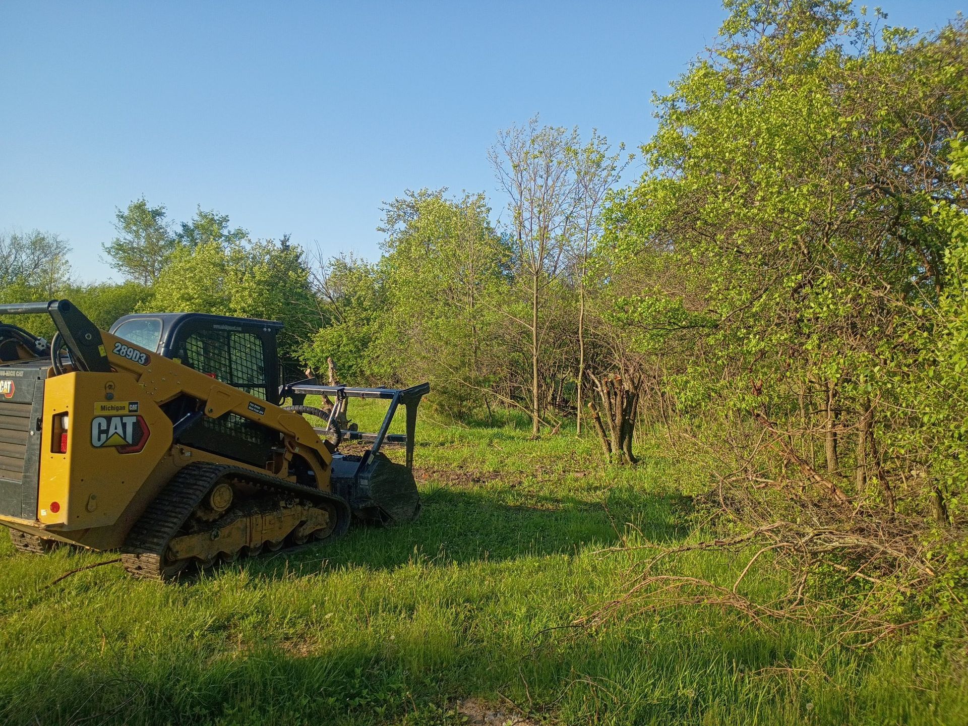 Yellow skid steer clearing brush in a grassy field with trees under a blue sky.