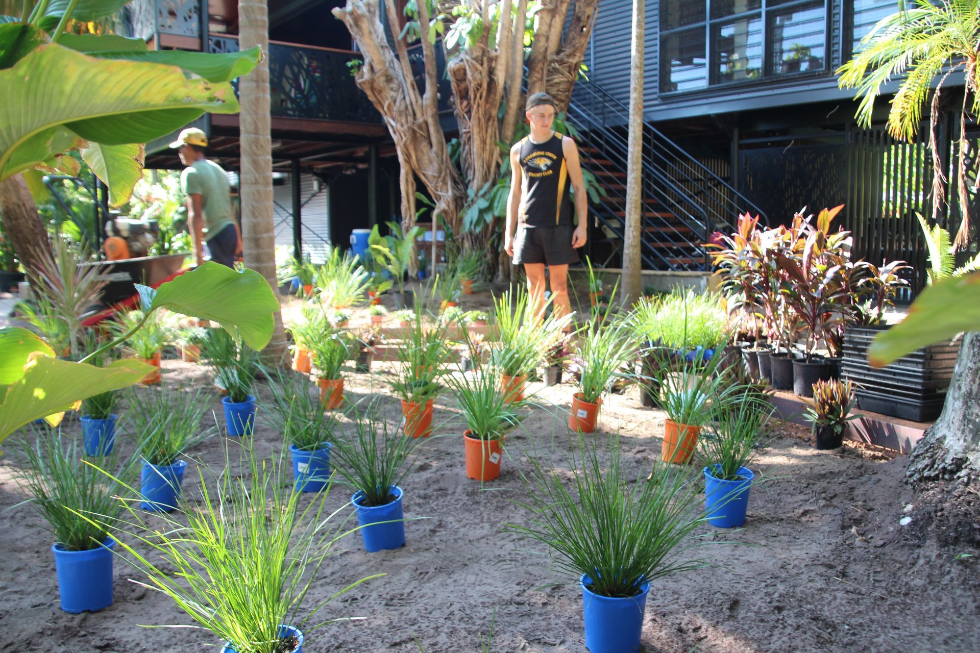Gardeners Potting Plants