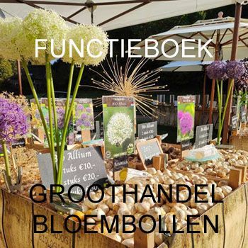 FUNCTIEBOEK GROOTHANDEL BLOEMBOLLEN
