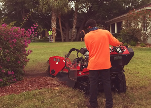 Stump Grinding