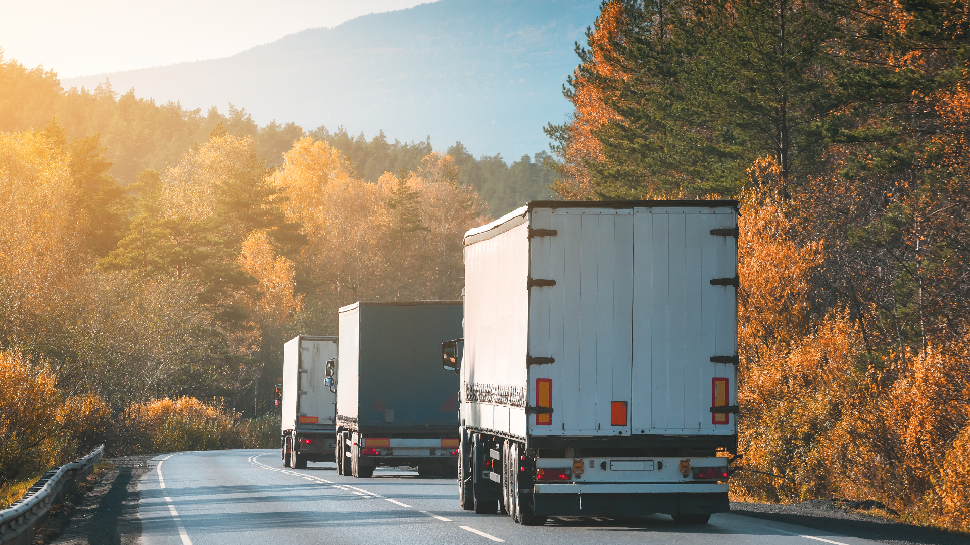 A green semi truck with a white trailer is driving down a highway.