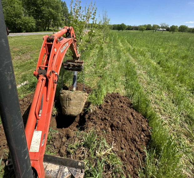 Rectangular swimming pool with light-colored stone border, surrounded by trees.
