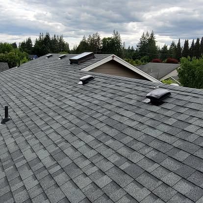 Gray shingled rooftop with skylights, seen over trees under a cloudy sky
