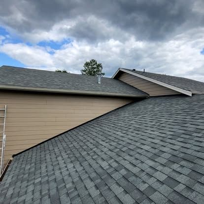 Roof shingles on a house under cloudy sky, with neighboring roofs visible